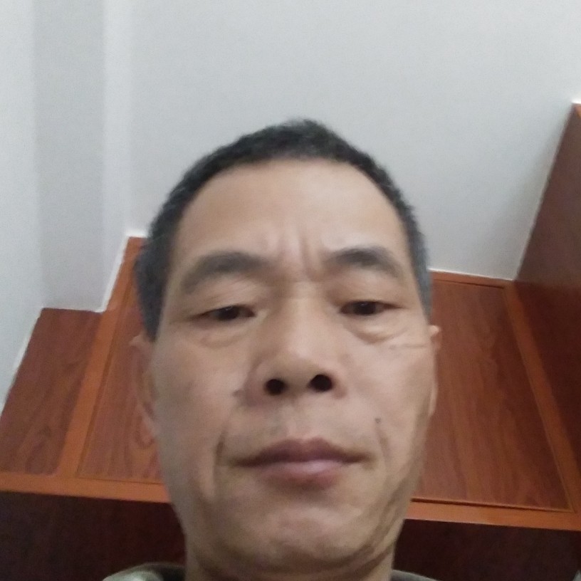 网络蹁跹自然的照片