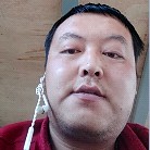 老虎爱机灵的照片