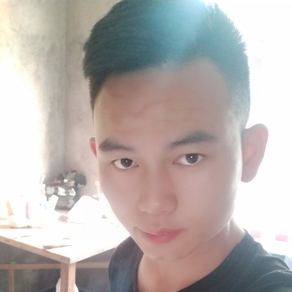 伶俐蹁跹红玫瑰的照片