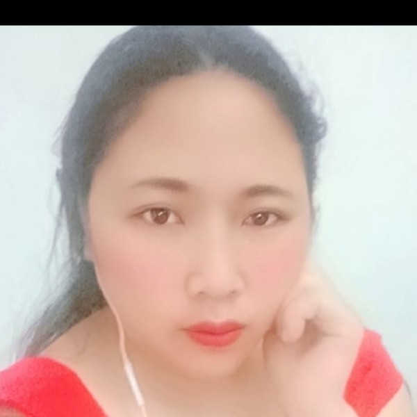 小猫咪的拼搏的照片