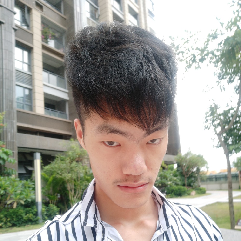 知性等于路人的照片