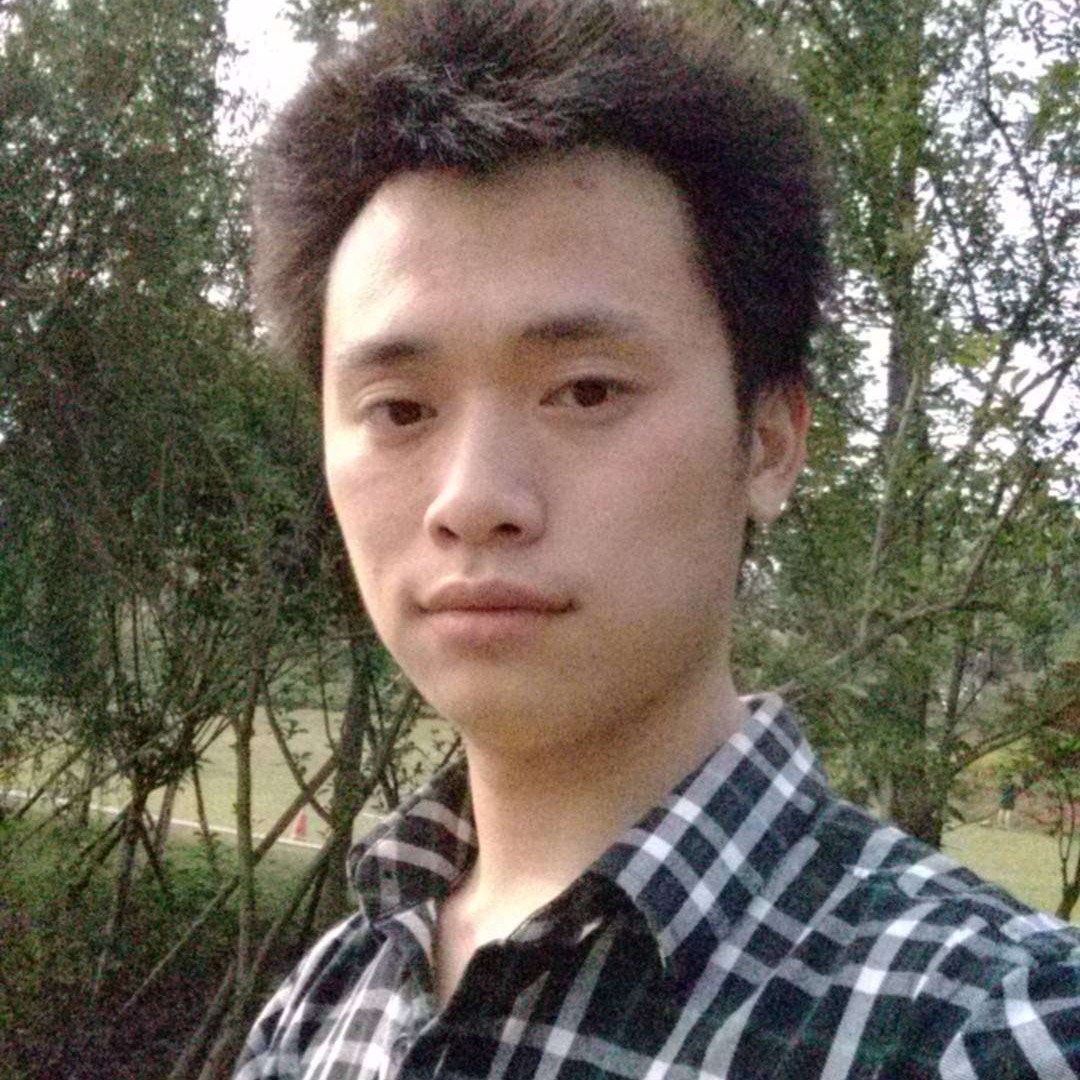 平静森林的照片