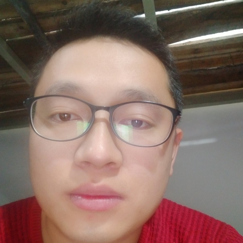 大象殷勤的照片