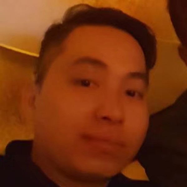 碰到你的小海豚的照片