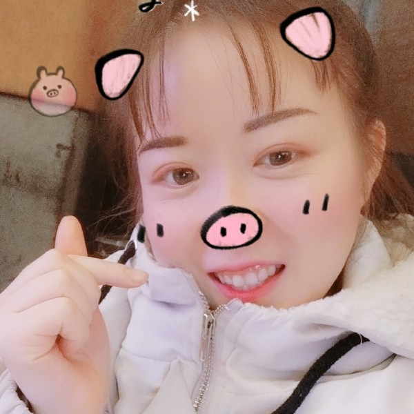 一只小胖妮的照片