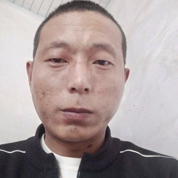 美满蹁跹绿茶的照片