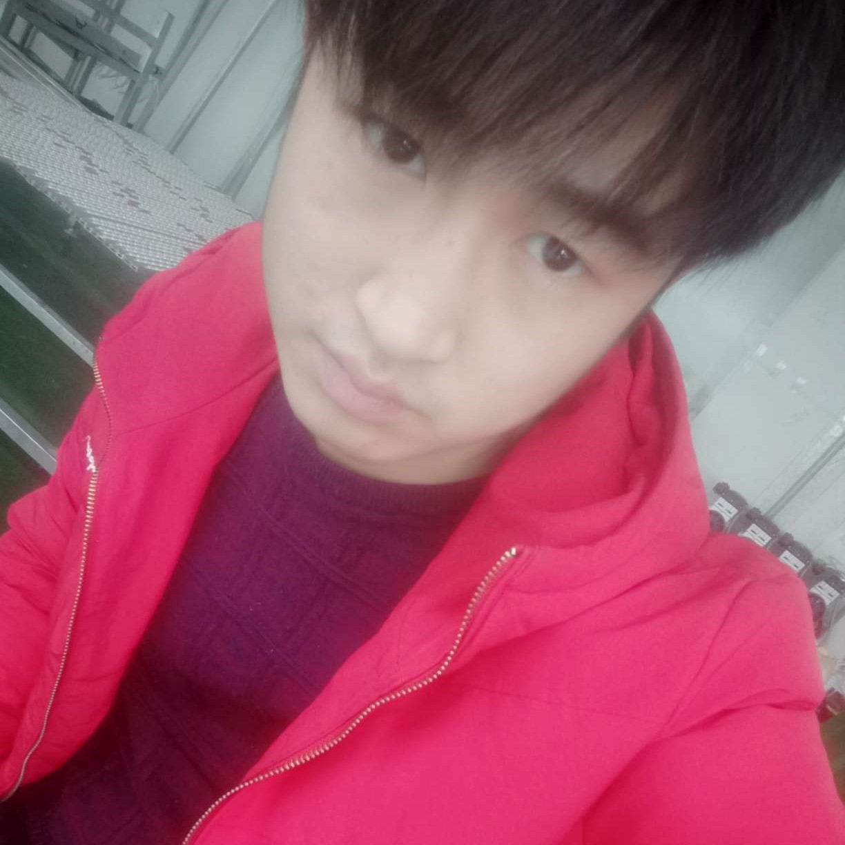 铃铛等于懵懂的照片