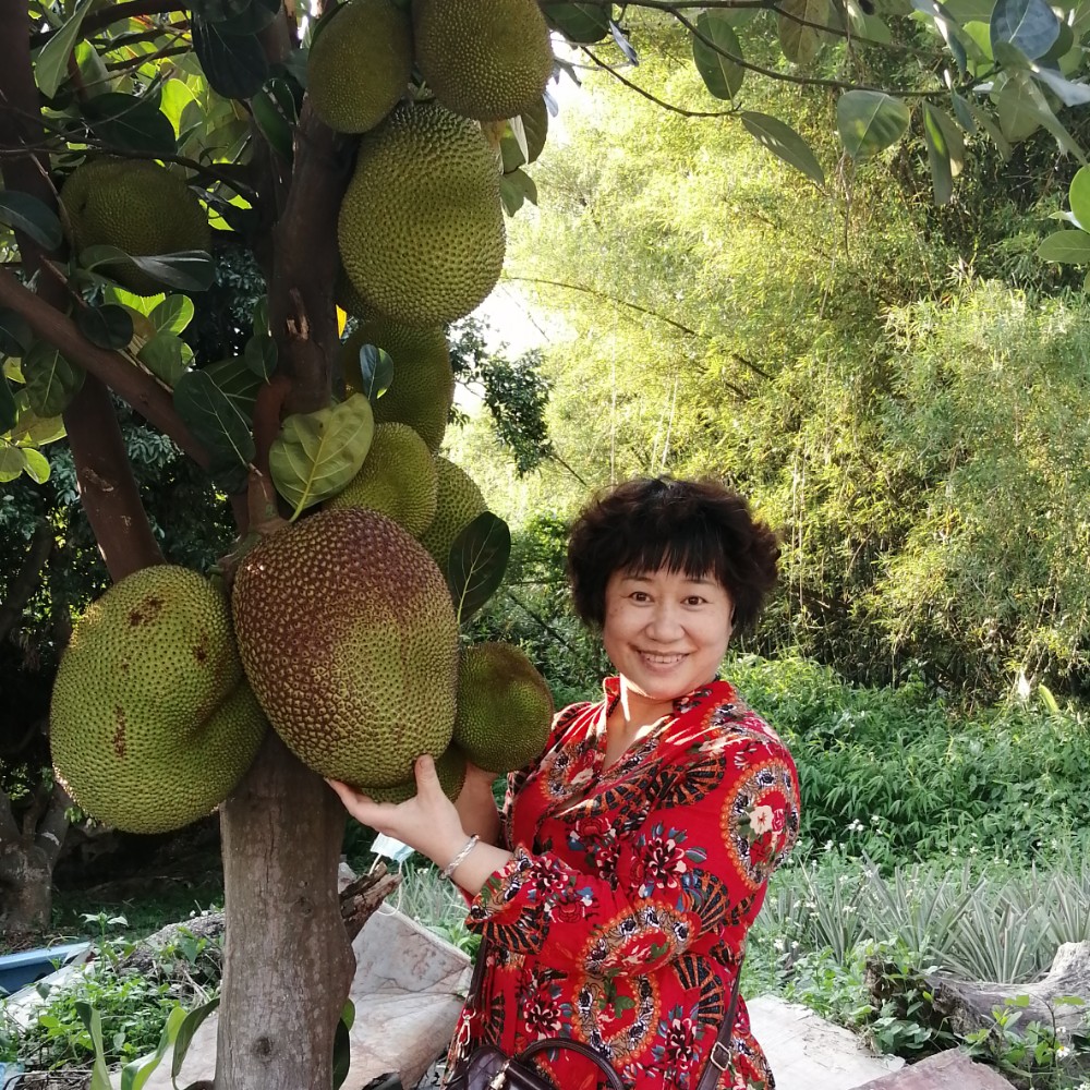 歌曲碧蓝的照片