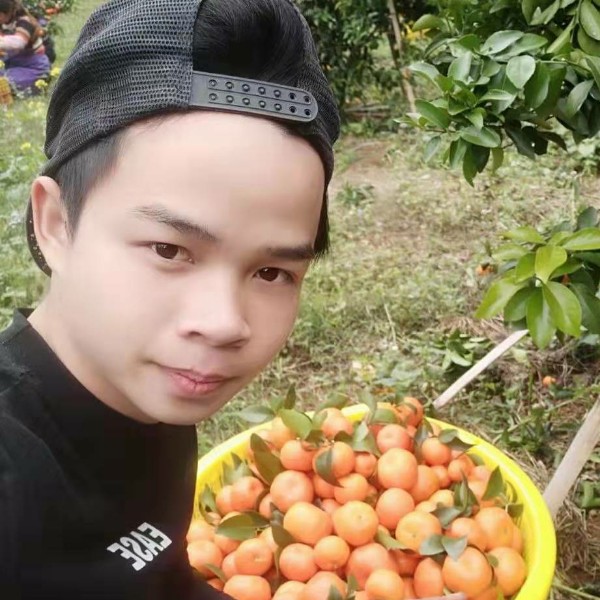 寻找aiba的照片
