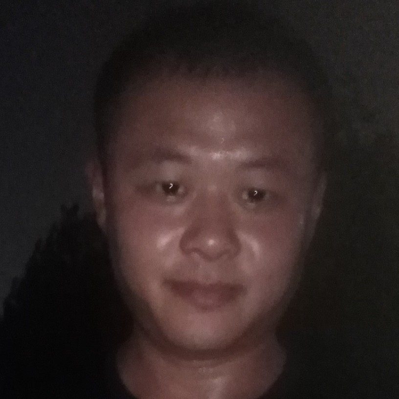 雪狼的照片