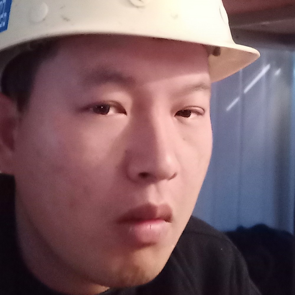 直率那斑马的照片