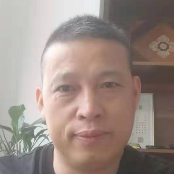 不吃草的牛的照片