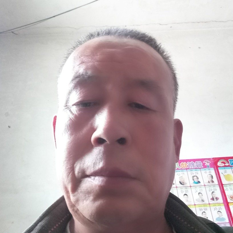 老迟到和手机的照片