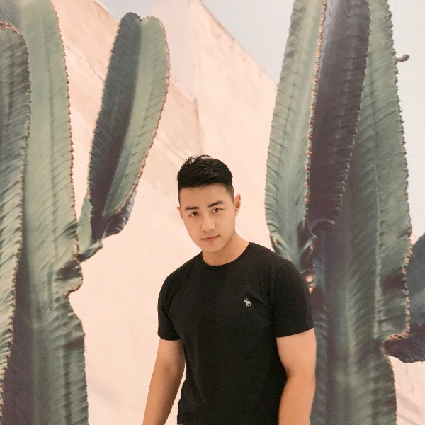 Transparent的照片