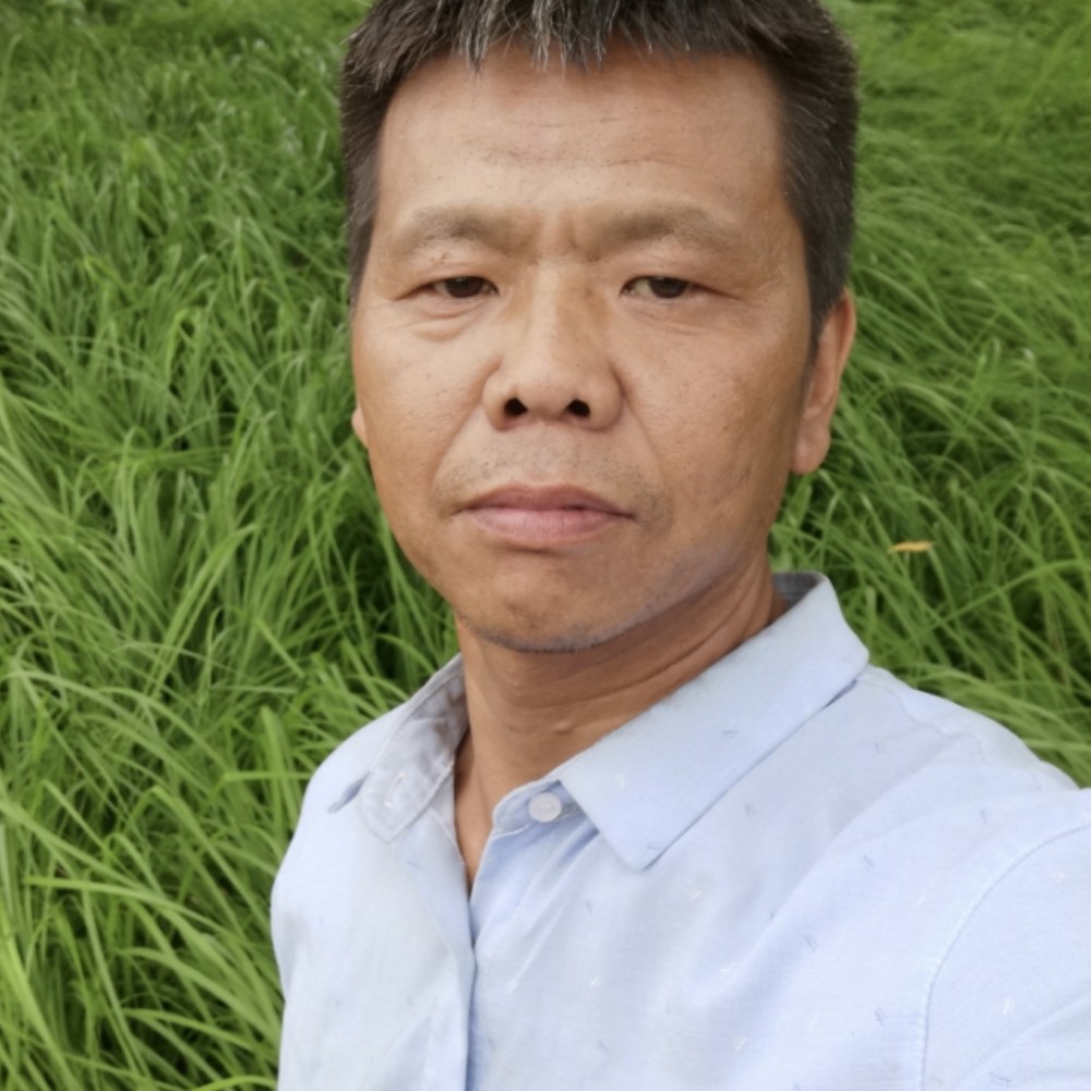 玫瑰放弃淡定的照片