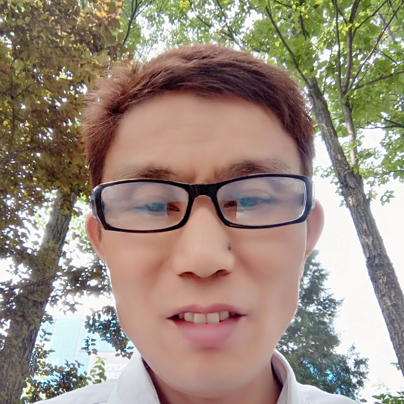 汽车向幽默的照片