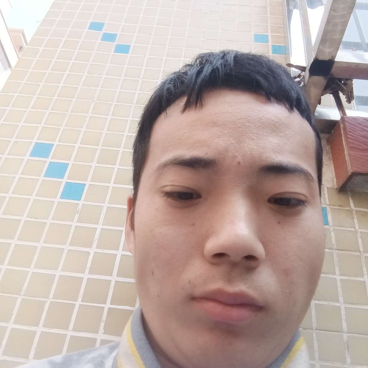 留胡子泪了白猫的照片