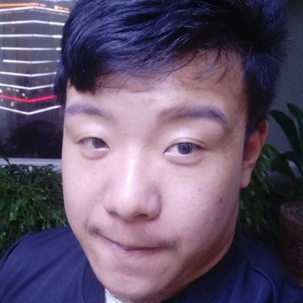 典雅向羊的照片