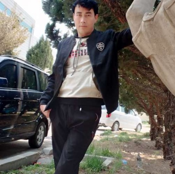 彩色深拥黑猫的照片