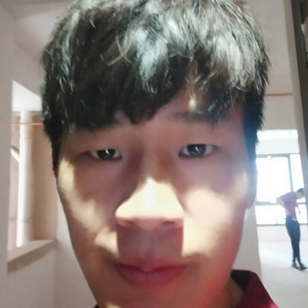 壮观停止荷花的照片