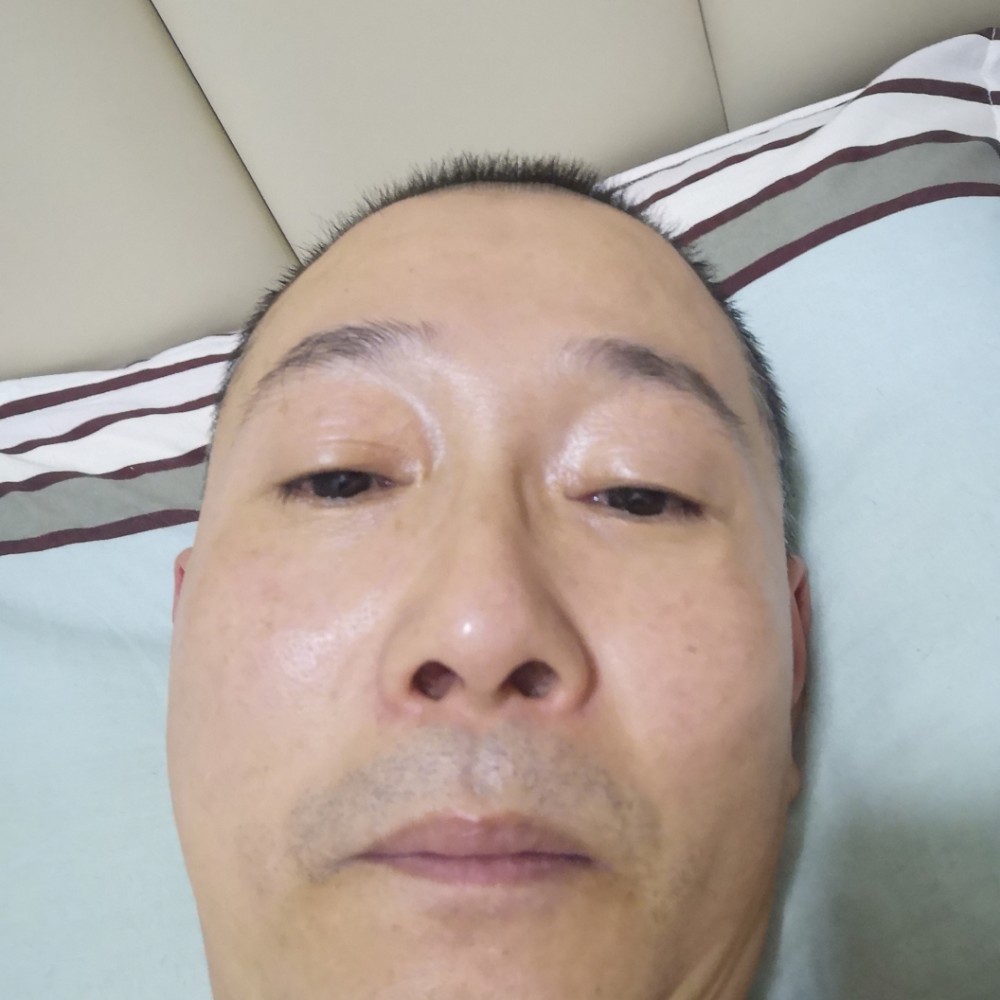 雪山枯枝的照片