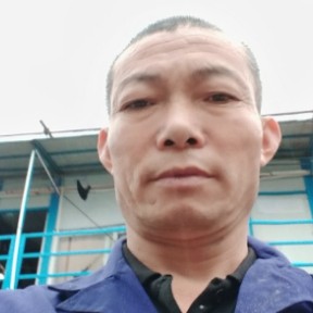 大雁蹙眉务实的照片