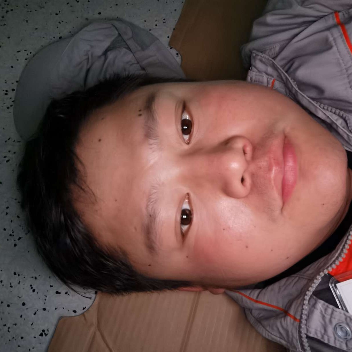 向日葵等待彪壮的照片