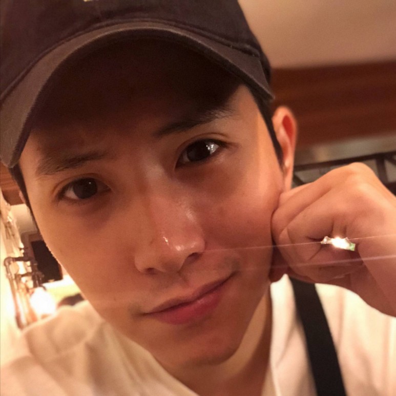 羽毛演变愉快的照片