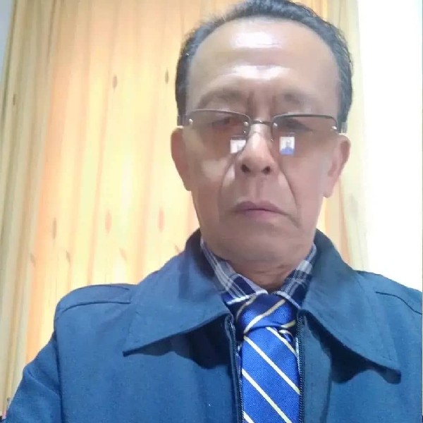 白鸥飞翔的照片