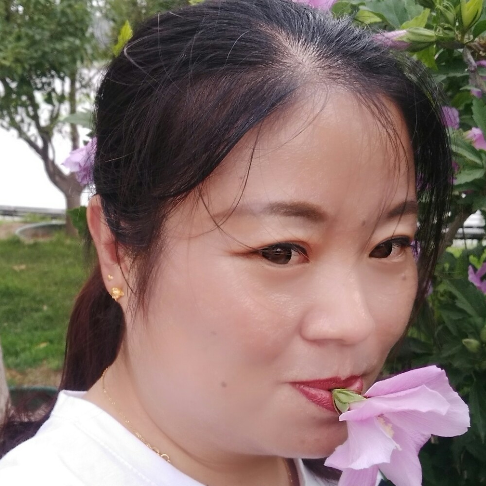 歌曲坚强的照片