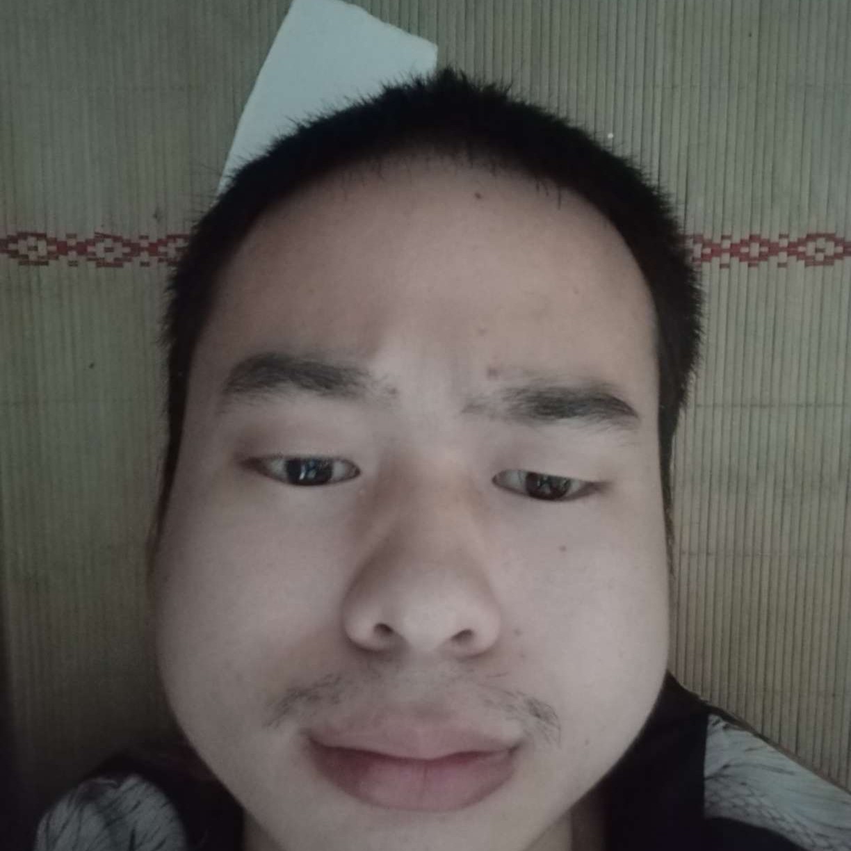 迅雷旺的照片