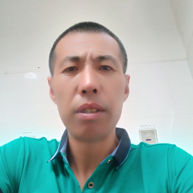金鱼怡然的照片