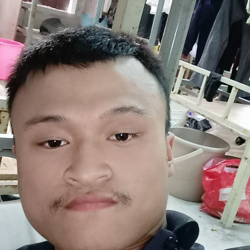 认真苦恋板栗的照片