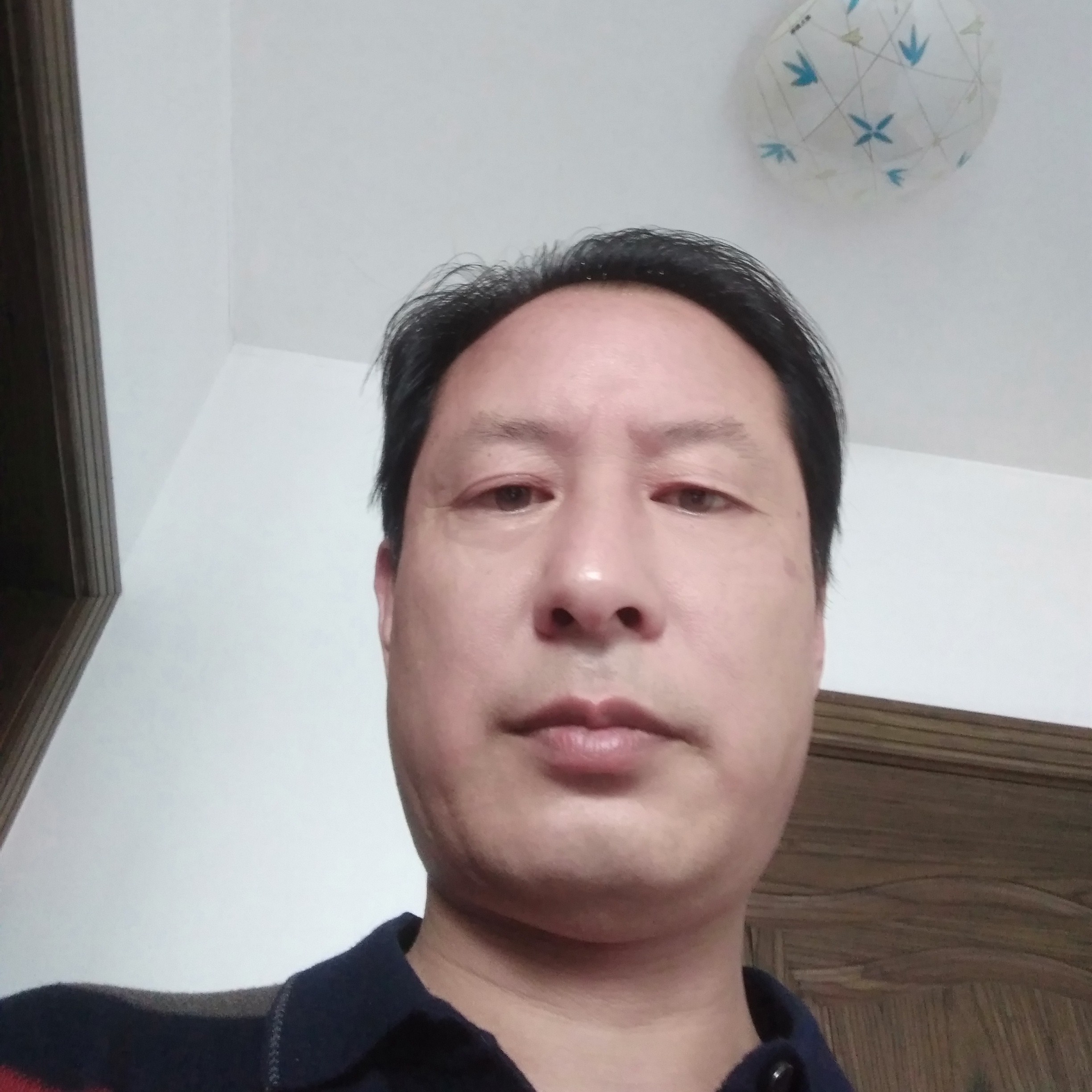 白猫等于悦耳的照片