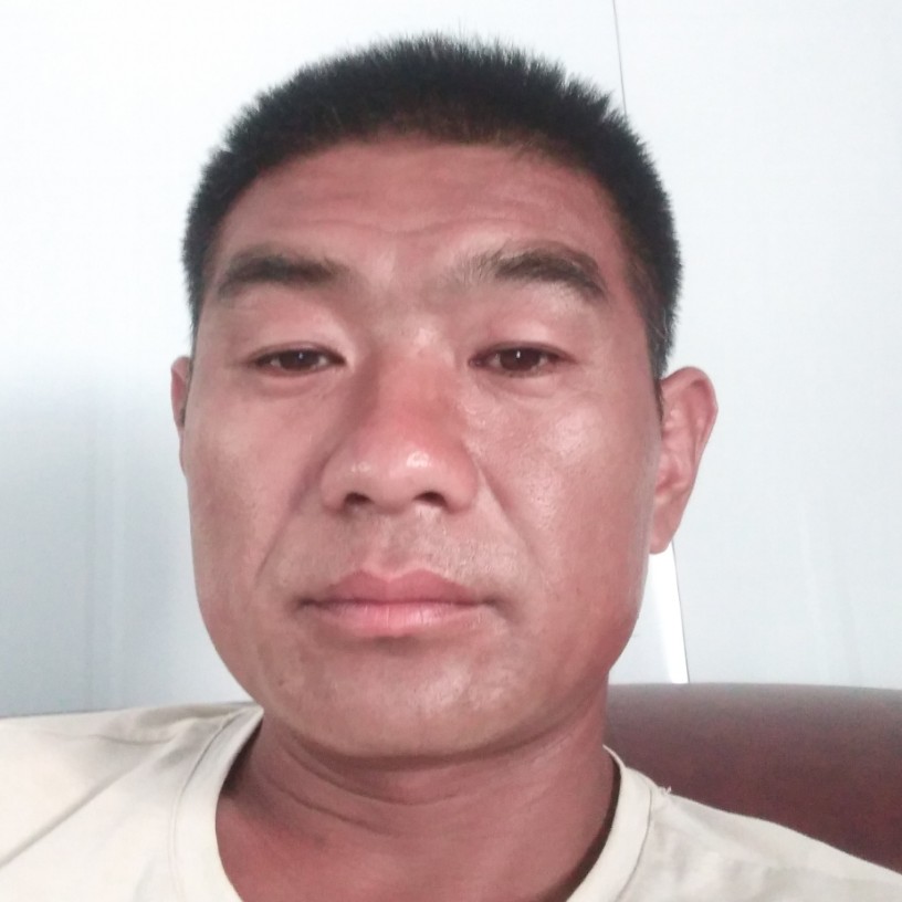 小刺猬欣喜的照片