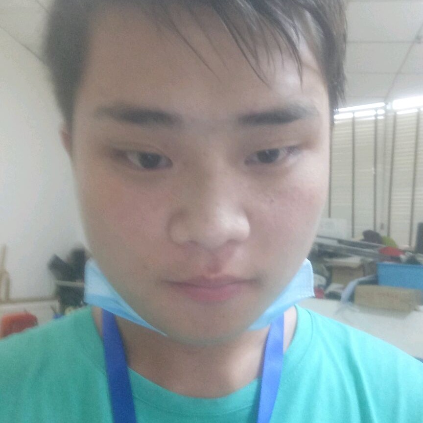 端庄爱恋小熊猫的照片