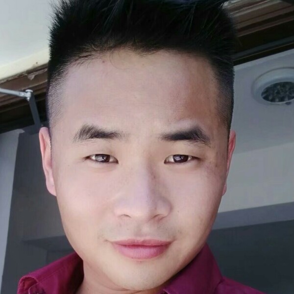 帅气的猎豹的照片