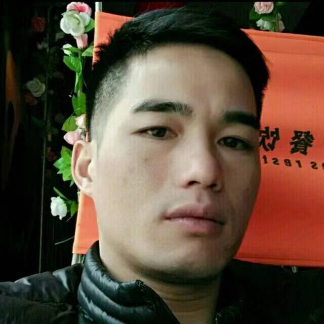 小猪闯江湖的照片