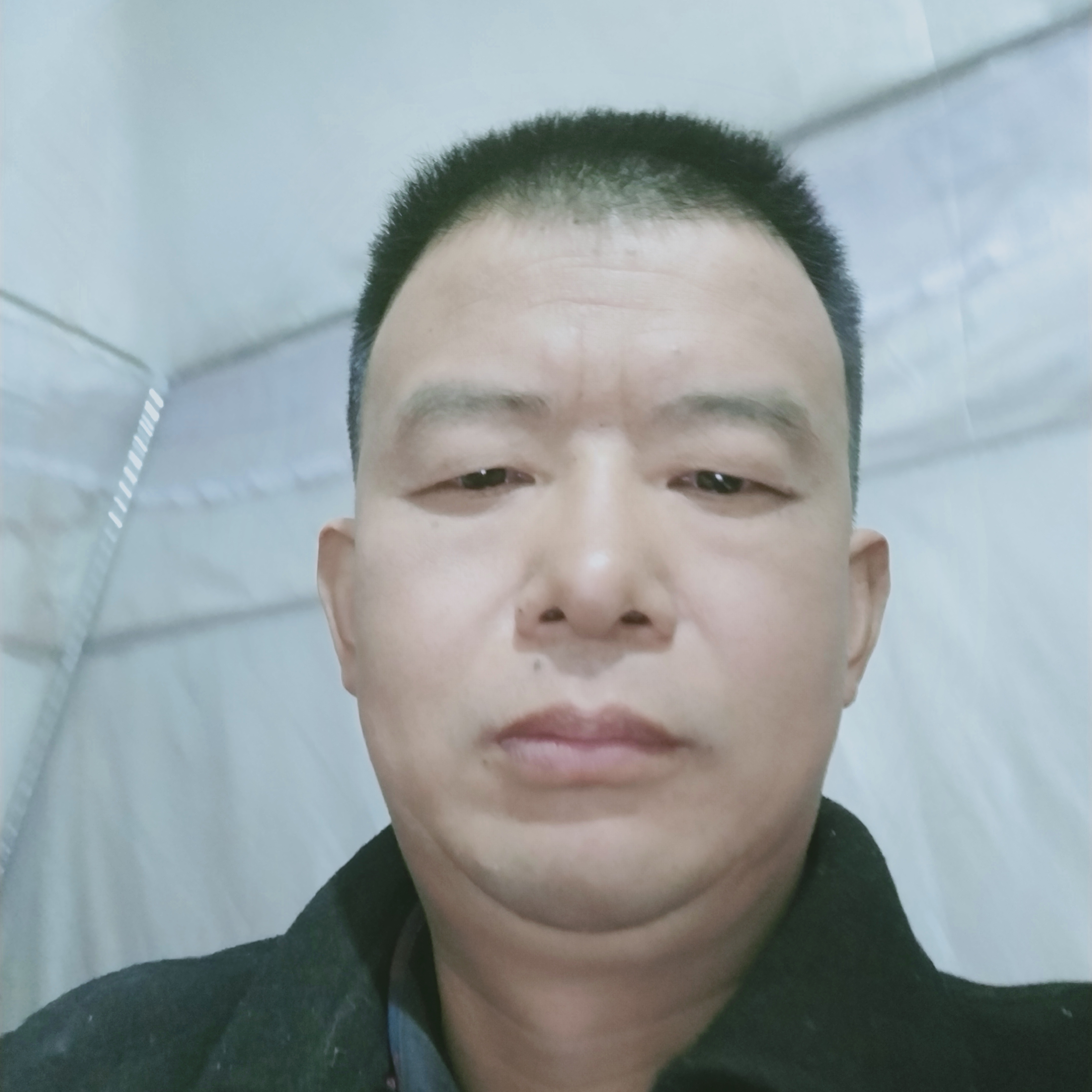 黑米寒冷的照片