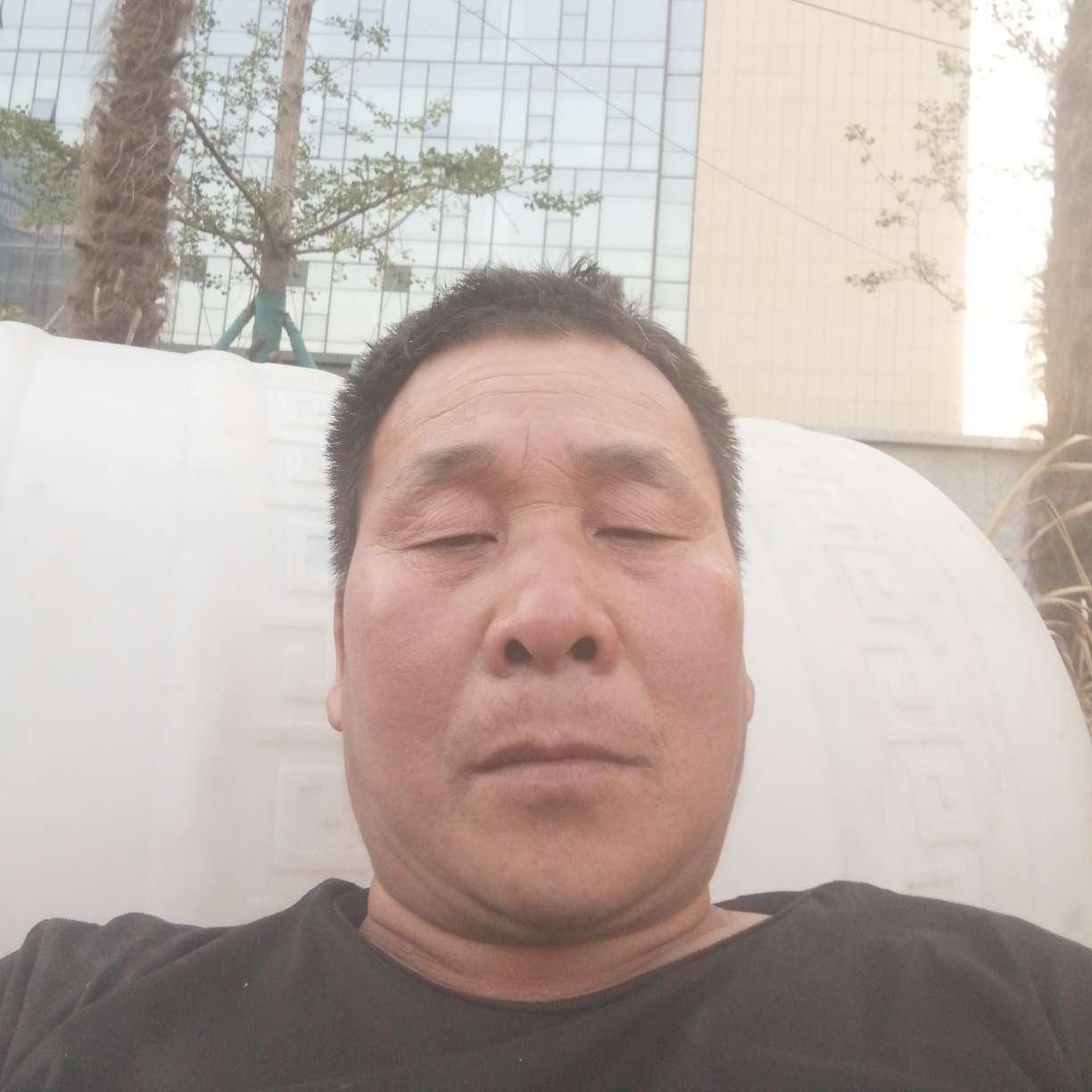 大力愿蘩藜的照片