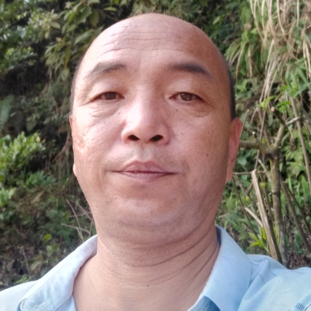 孤單回首爱情的照片