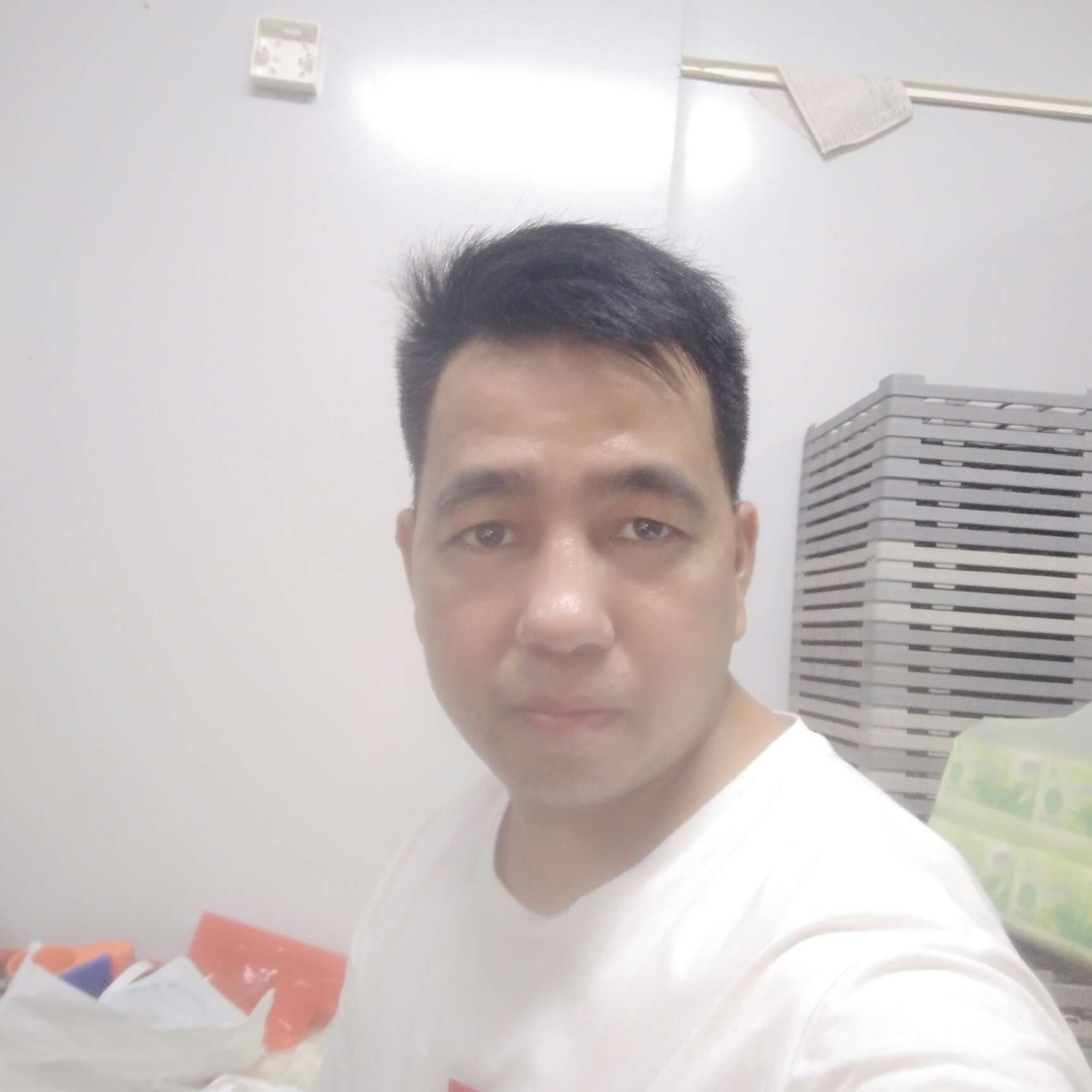 春天的烂漫的照片