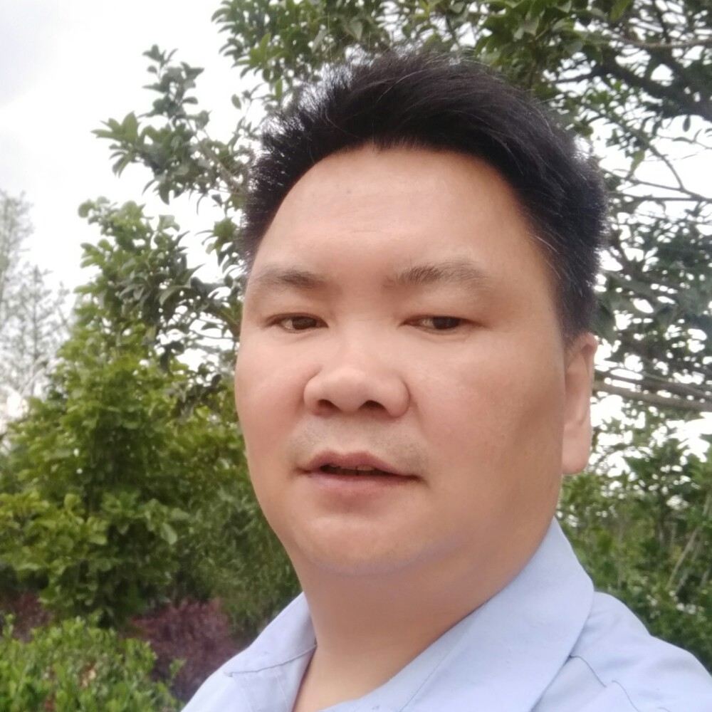 蚂蚁漫步感动的照片