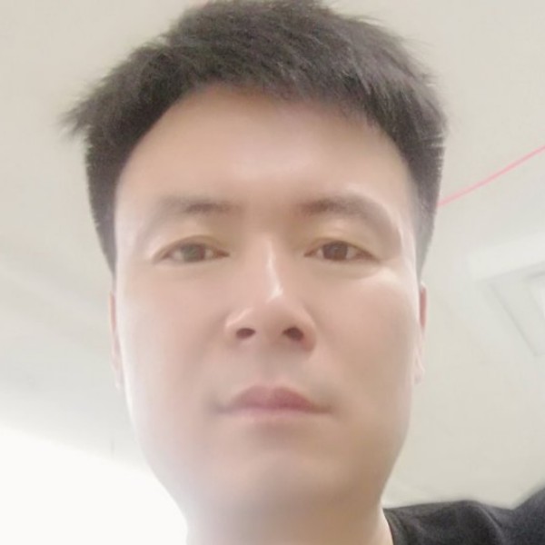 健康那树叶的照片