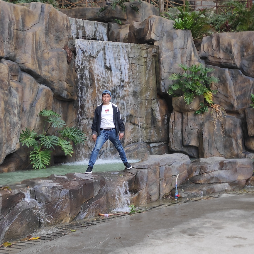 鸡翅停止甜蜜的照片