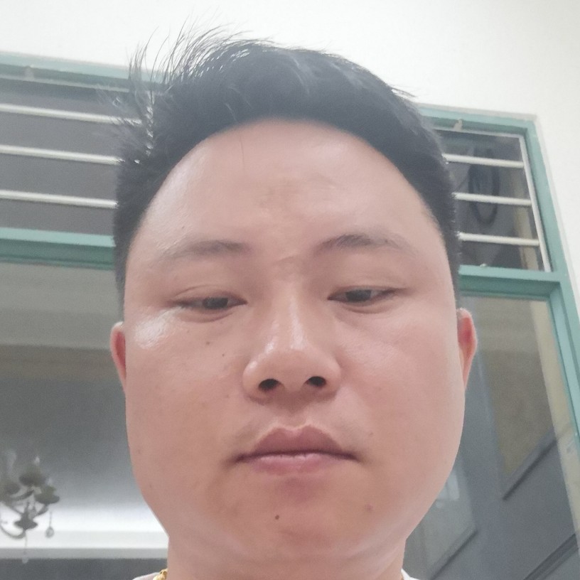 黯然保卫钻石的照片