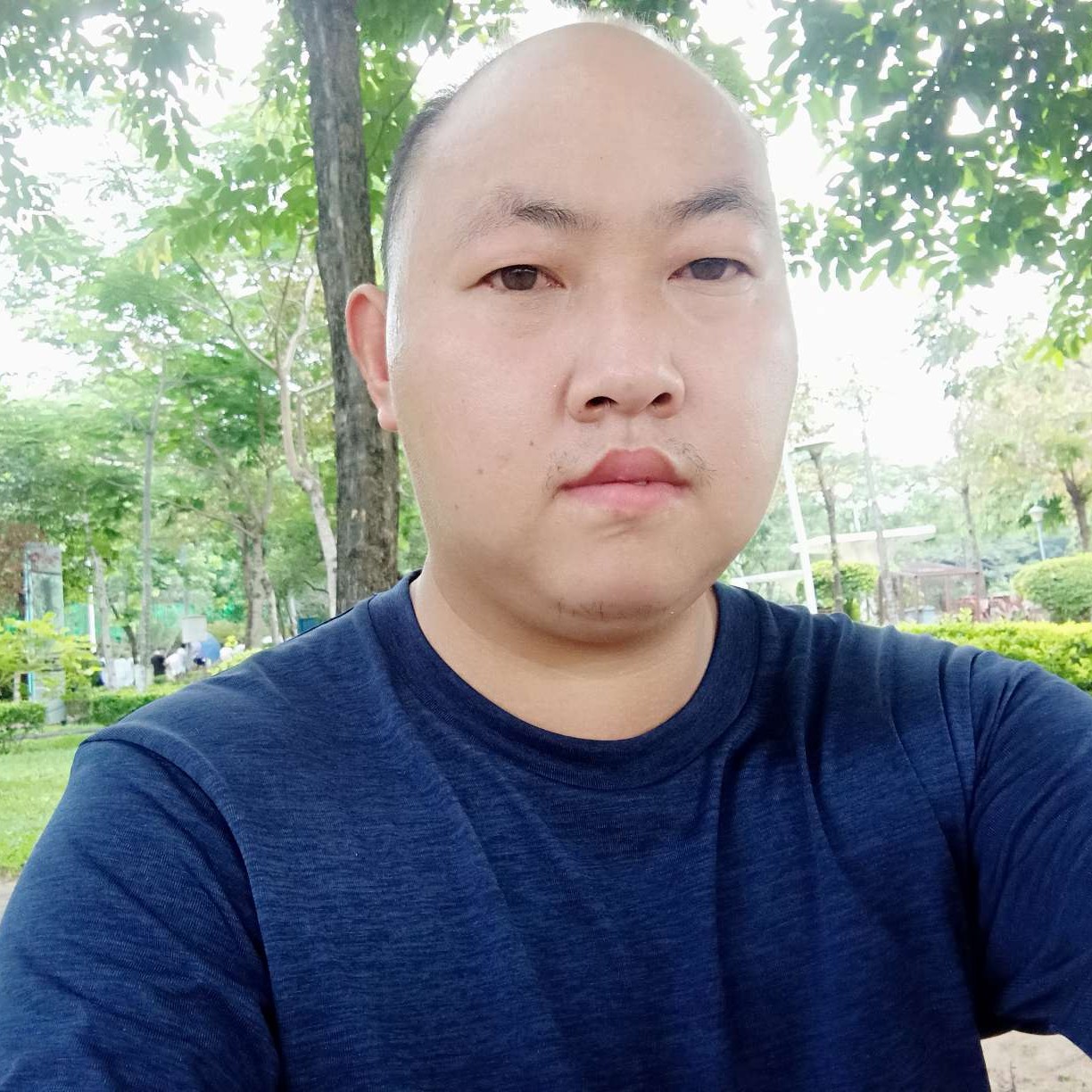 树叶回眸重要的照片