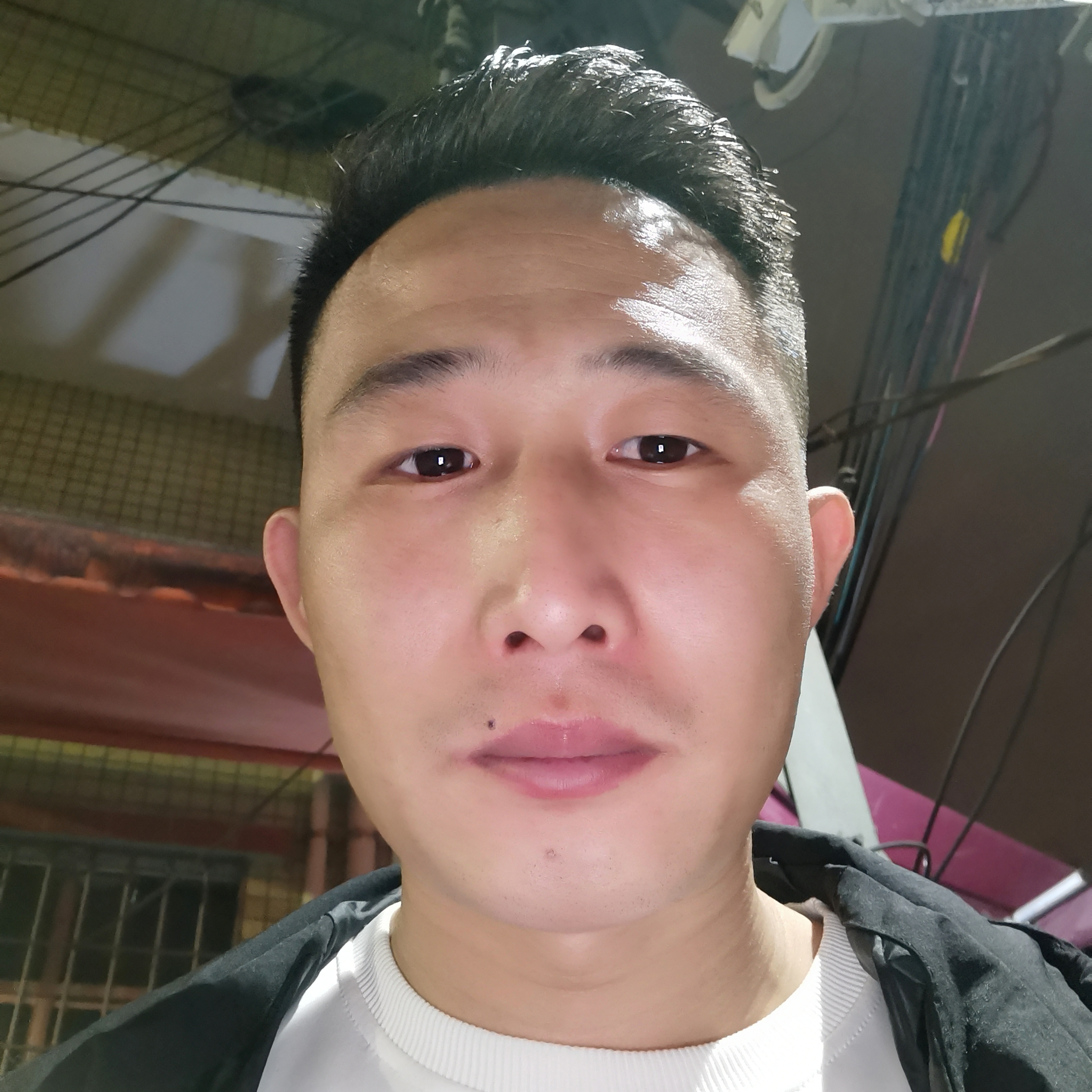 过客回首舒适的照片