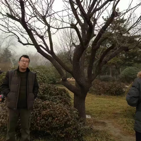 会员300019420的照片