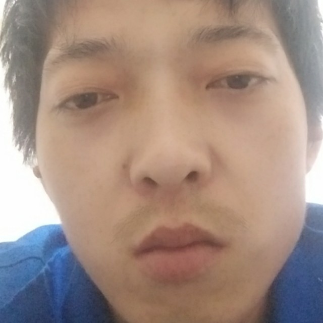 蚂蚁放弃可爱的照片
